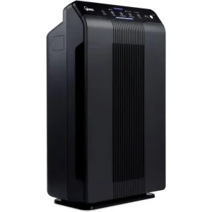 Winix 5500-2